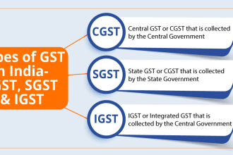 provide all the gst related services in india
