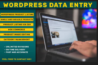 do data entry and copy paste job and wordpress data entry and product listing