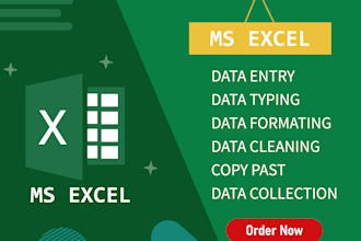 do excel data entry, ms word typing and formating data