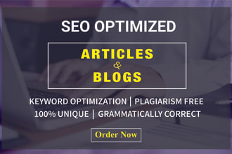 write SEO optimized articles, blogs, and website content