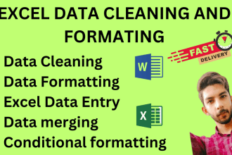 do excel data cleaning, formatting and data entry