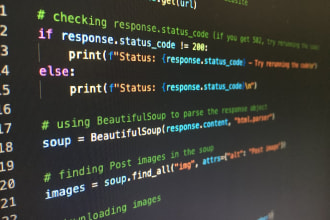 fix bugs, resolve errors in your flask, python, django code and write scrappers