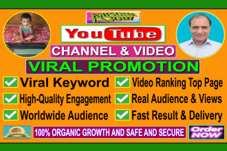 do organic youtube promotion to viral your video
