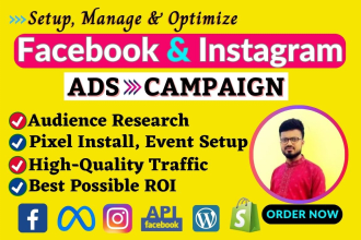 setup facebook and instagram ads campaign, fb advertising for leads and sales