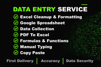 excel, data entry, PDF, word, PPT