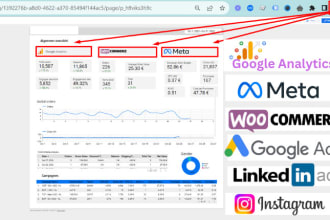 create professional google looker studio dashboards, looker studio pro