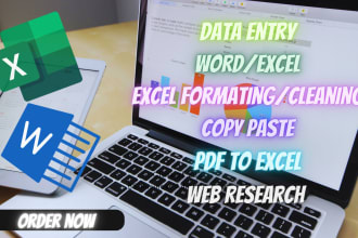 do fastest data entry, convert pdf to word exel and typing in just 24 hrs