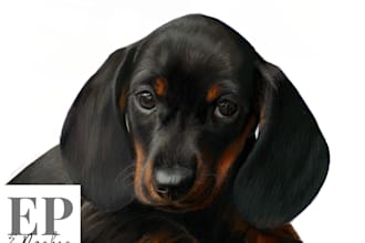 create a realistic digital illustration of an animal