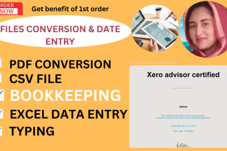 do data entry jobs, excel job, and files conversion PDF to CSV