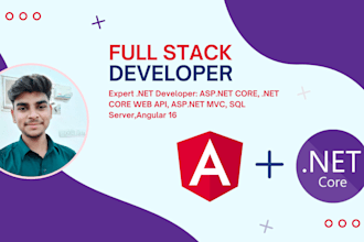 be your dot net core web api angular full stack developer