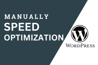 manual wordpress website speed optimization, increase page speed