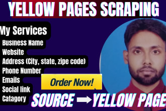 do yellow page scraping, web scraping, data extraction from any website