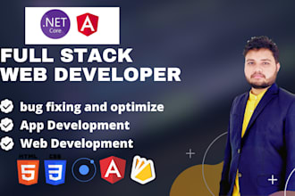 develop scalable web apps with dotnet core and angular  expert developer