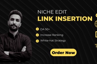 provide expert SEO niche edit and link insertion