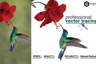 perfectly trace logo or raster to vector tracing