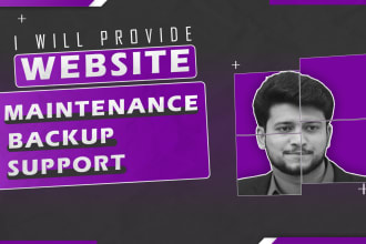 provide wordpress website maintenance support