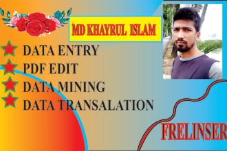 expert in data entry, skip tracing, wordpress and shopify
