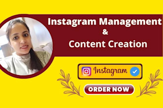 be your instagram manager and content creator