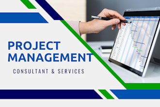 do virtual assistant for project management services