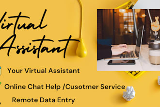 provide chat support, virtual assistant and customer support