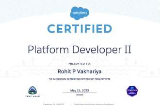 provide salesforce development and integration services