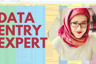 data entry for excel, google spreadsheet, airtable, shopify