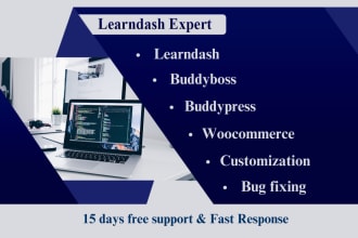 design lms wordpress website with learndash, buddyboss, theme plugin installer