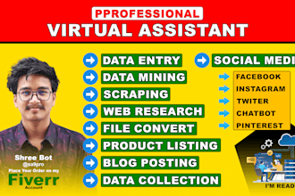 do wordpress data entry, admin support, variation listing, data mining