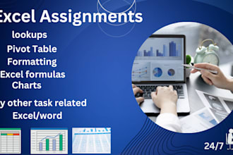 do your excel word assignment accurately and quickely