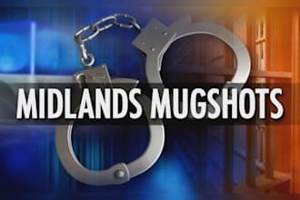 remove articles links,mugshots,negative links,court case,arrest record in google
