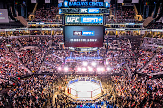 write ufc, mma, or wwe content for your website or blog