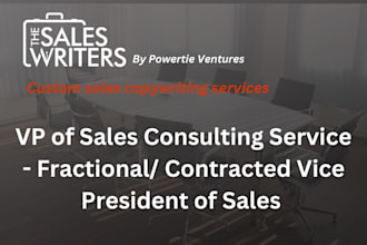 provide fractional vp of sales consulting and strategy