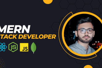 be your professional mern stack developer