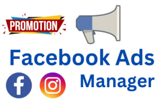 be your facebook ads camping manager for leads and sales