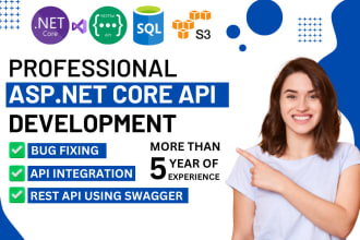 code asp net, asp net core and angular web application