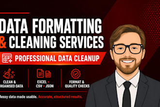 professional data formatting and cleaning services