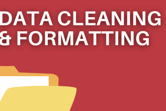 professional data formatting and cleaning services