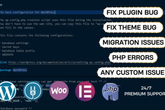 fix wordpress bugs plugin errors and fix any issues