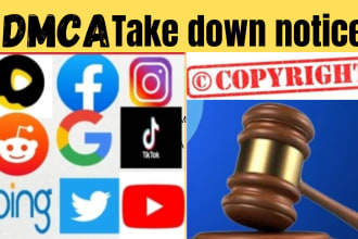 takedown negative defamatory harassing content from tiktok,yt,ig,fb,reddit and x