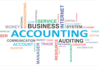 provide professional business financial consulting