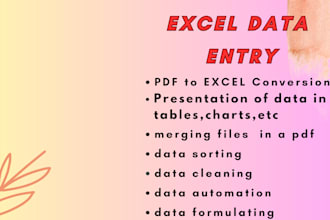 excel data entry, data entry, PDF to excel data entry