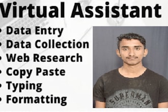 data entry for you