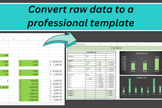 convert raw data to a professional template in excel