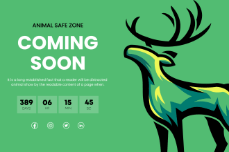 do professional wix coming soon page, landing page for your new website
