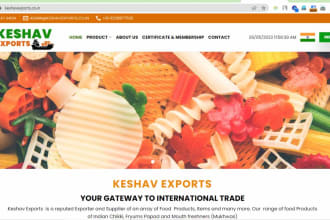 design professional import export website for you