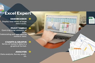 be the excel expert you are looking for