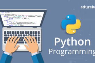 help you to code python programming assignments