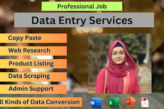 do professional data entry, copy paste and web research job