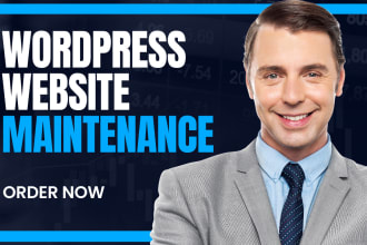 manage or assist you to maintain your wordpress website