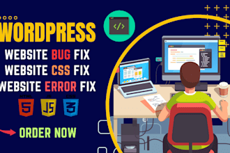 fix wordpress bugs, CSS problems, and any error